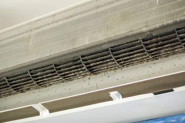 Best Affordable Duct Cleaning Services  in North Valley Stream, NY